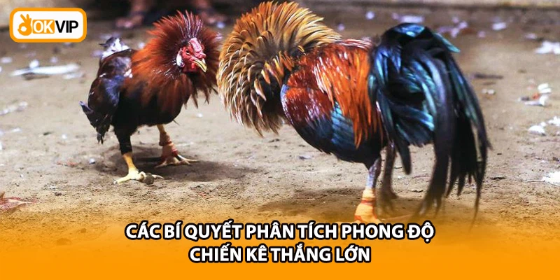Các bí quyết phân tích phong độ chiến kê thắng lớn