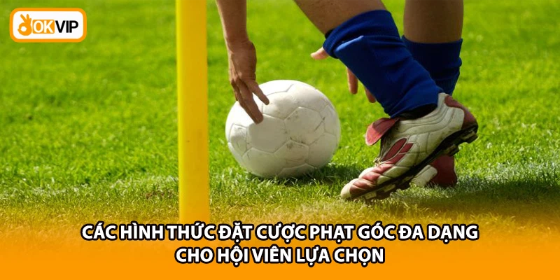 Các hình thức đặt cược phạt góc đa dạng cho hội viên lựa chọn