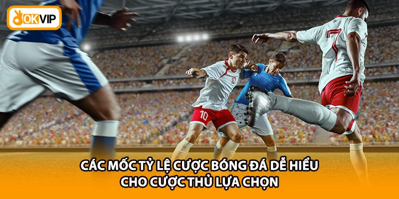 Các mốc tỷ lệ cược bóng đá dễ hiểu cho cược thủ lựa chọn