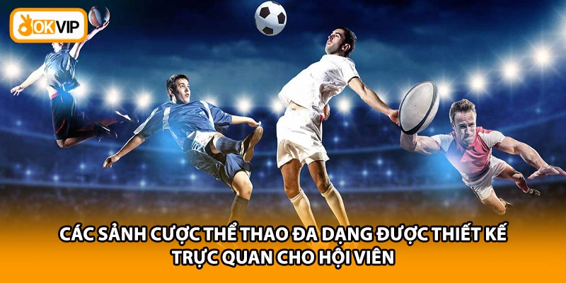 Các sảnh cược thể thao đa dạng được thiết kế trực quan cho hội viên