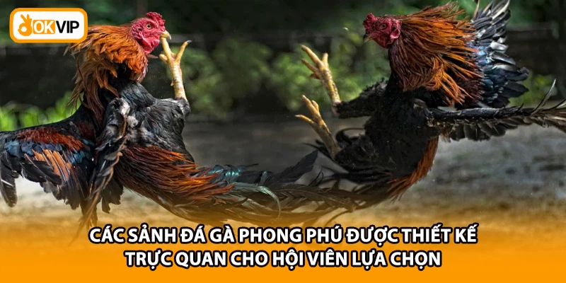 Các sảnh đá gà phong phú được thiết kế trực quan cho hội viên lựa chọn