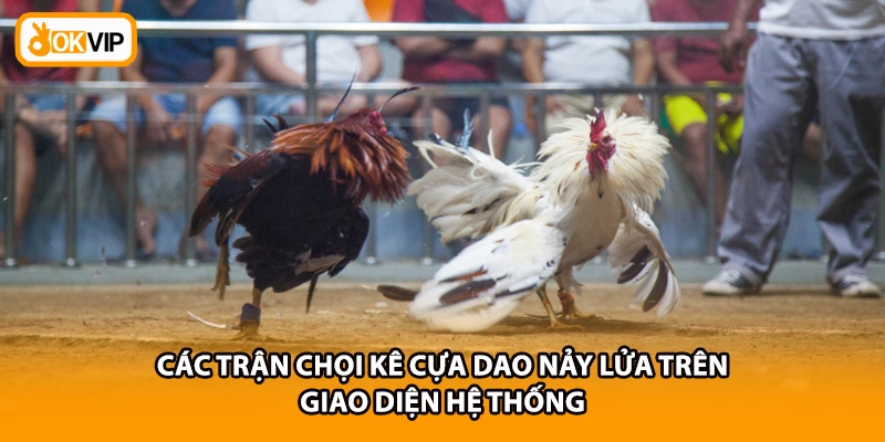 Các trận chọi kê cựa dao nảy lửa trên giao diện hệ thống
