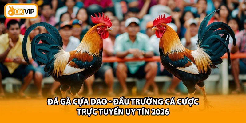 Đá Gà Cựa Dao - Đấu Trường Cá Cược Trực Tuyến Uy Tín 2026