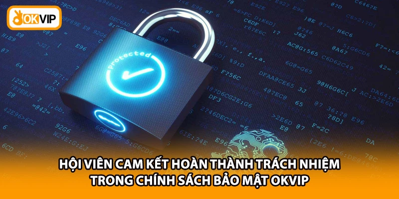 Hội viên cam kết hoàn thành trách nhiệm trong chính sách bảo mật OKVIP