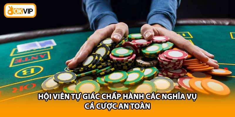 Hội viên tự giác chấp hành các nghĩa vụ cá cược an toàn